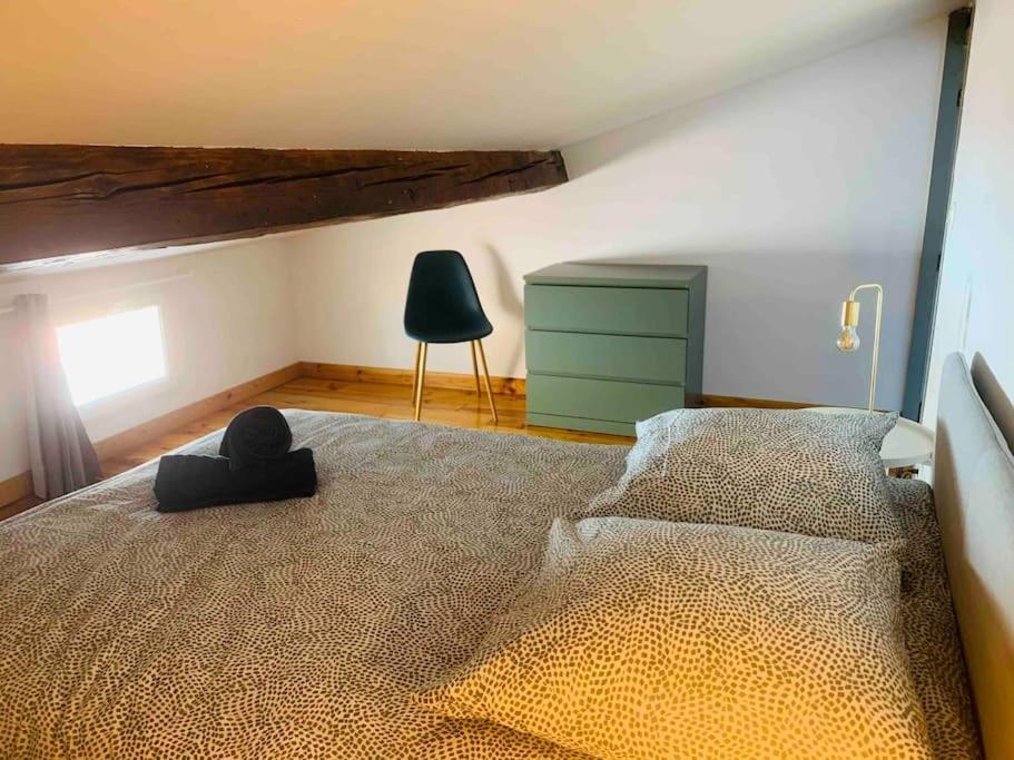 Spacieux Appartement En Plein Coeur De Castres Кастр Екстер'єр фото