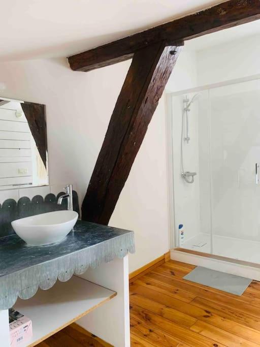 Spacieux Appartement En Plein Coeur De Castres Кастр Екстер'єр фото